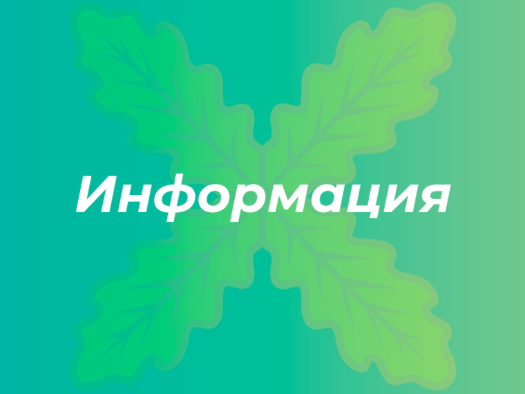 Приказ Министерства архитектуры и градостроительства Воронежской области от 21.05.2025 №45-01-04/269.