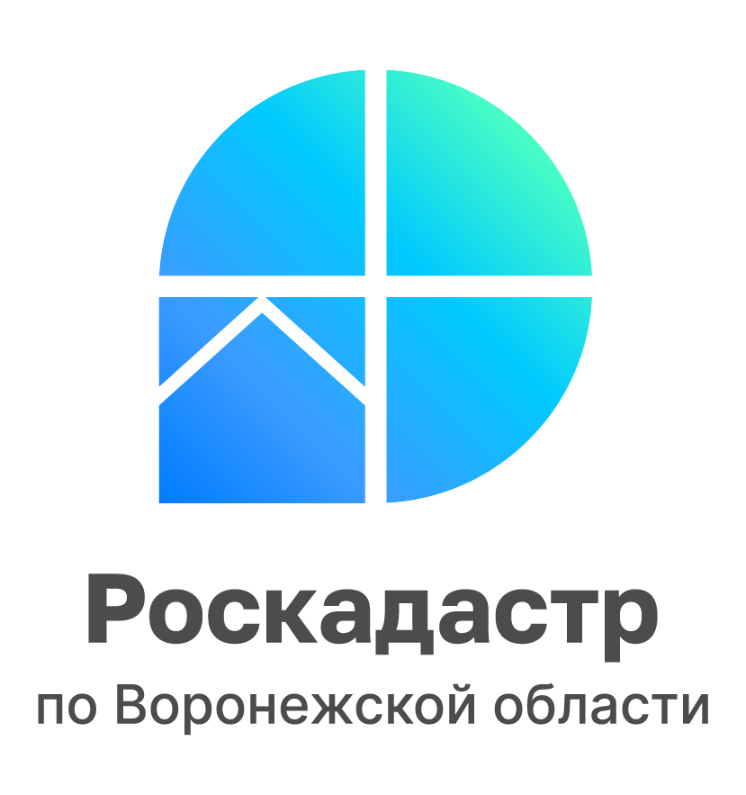 В 2025 году воронежский Роскадастр проводит комплексные кадастровые работы в отношении 184 кадастровых кварталов.